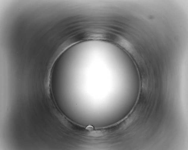 X0000089421378200706221145