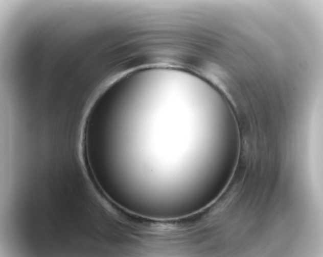 X0000089421379200706221145