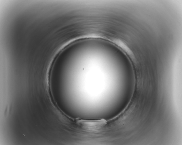 X0000089421380200706221145