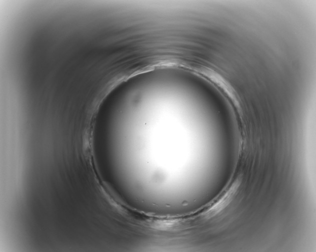 X0000089421385200706221145