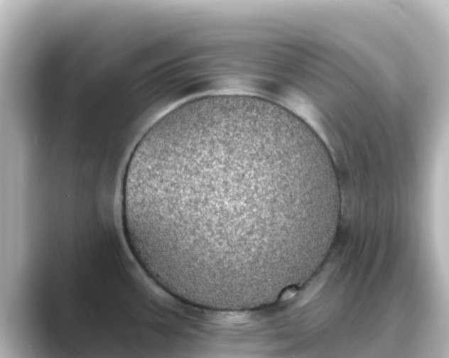 X0000089421387200706221145