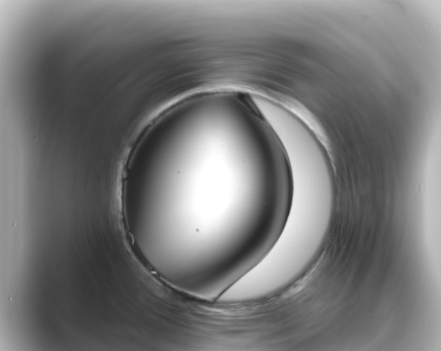 X0000089421388200706221145