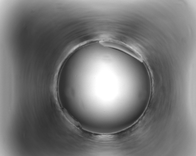 X0000089421392200706221145