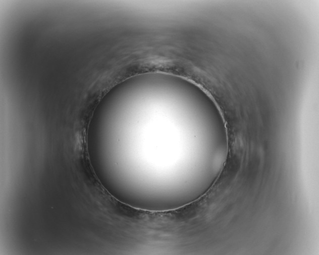 X0000089421397200706221145