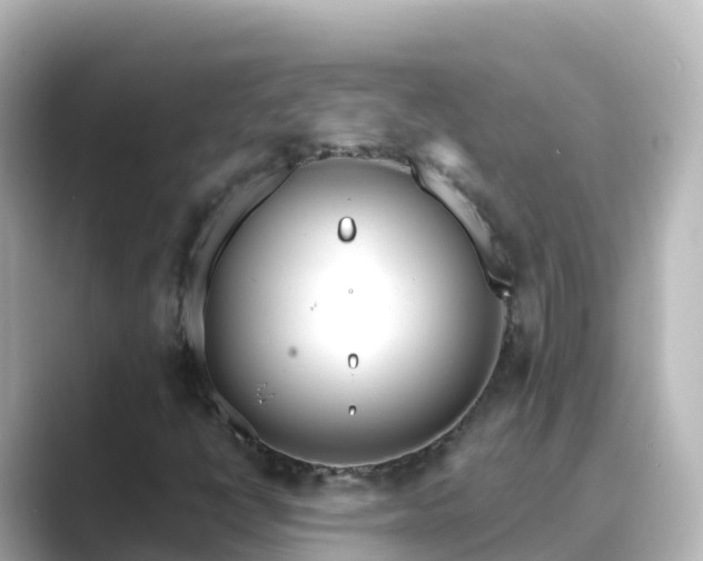 X0000089421398200706221145