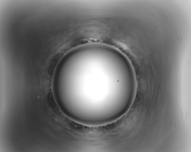 X0000089421399200706221145