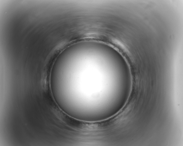 X0000089421403200706221145