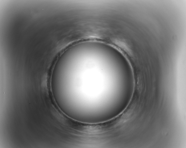 X0000089421404200706221145