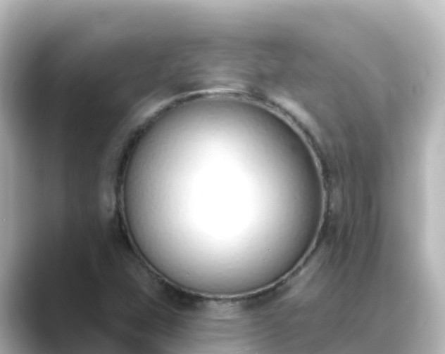 X0000089421407200706221145