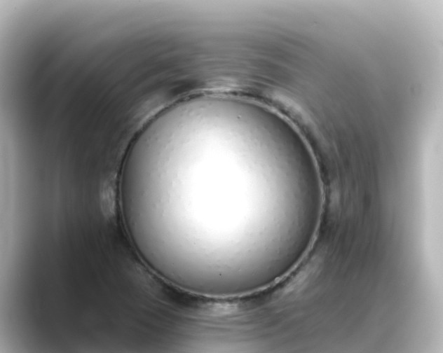 X0000089421409200706221145