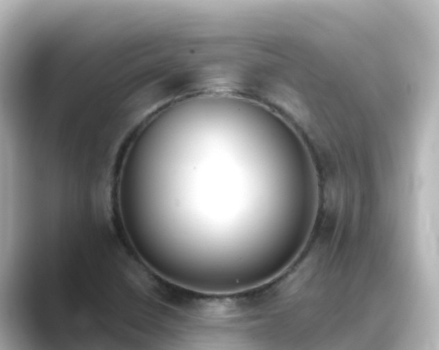 X0000089421410200706221145