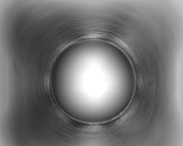 X0000089421417200706221145