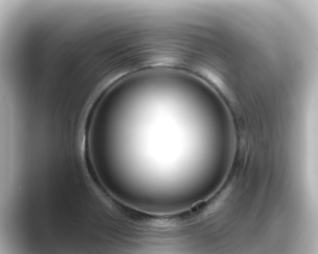 X0000089421418200706221145