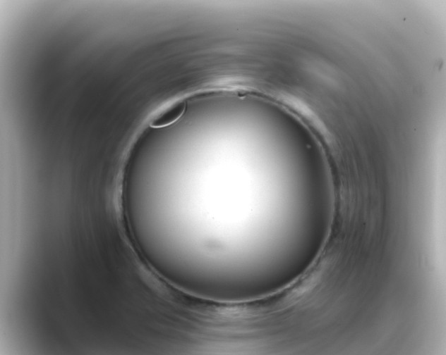 X0000089421421200706221145