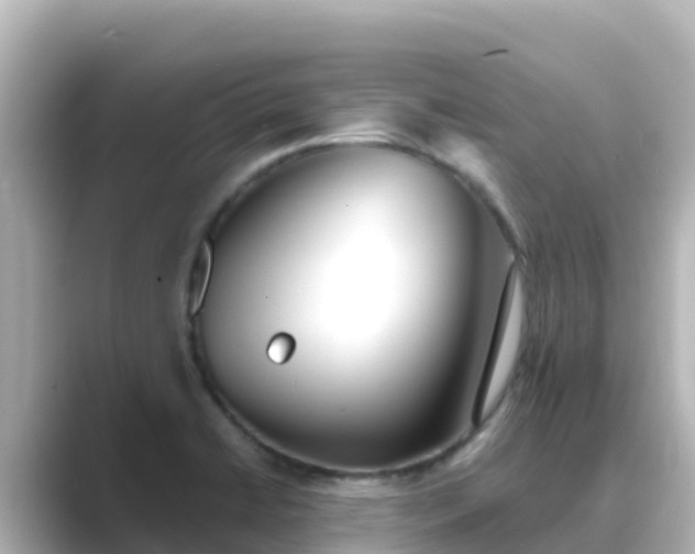 X0000089421422200706221145