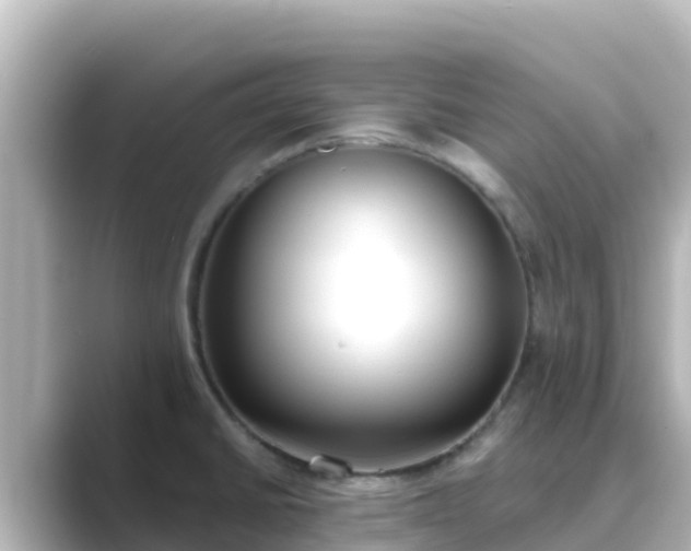 X0000089421430200706221145