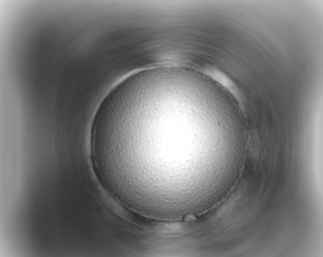 X0000089421431200706221145