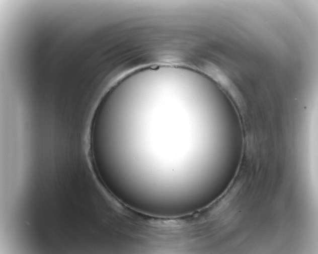 X0000089421432200706221145