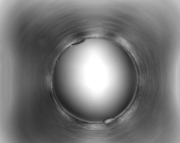 X0000089421433200706221145