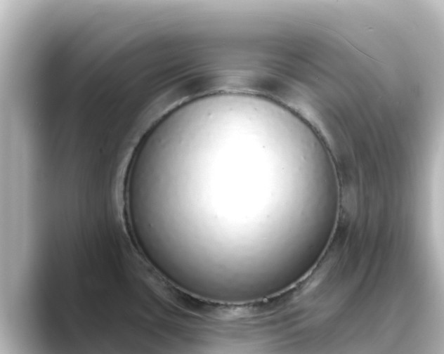 X0000089421435200706221145