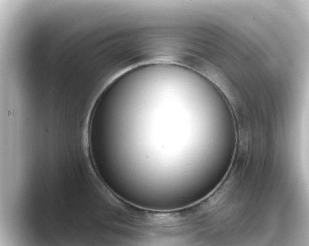 X0000089421436200706221145