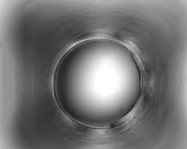 X0000089421438200706221145