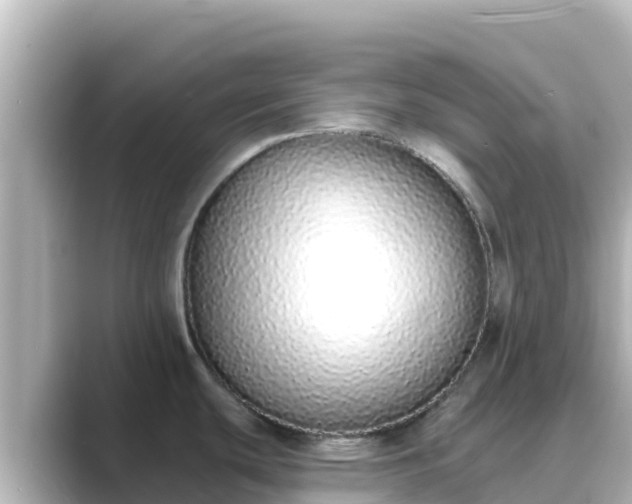 X0000089421439200706221145