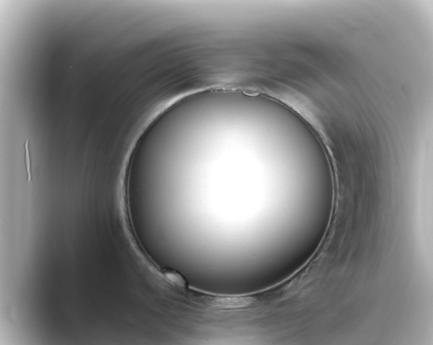 X0000089421440200706221145