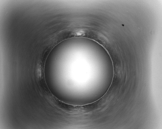 X0000089421442200706221145
