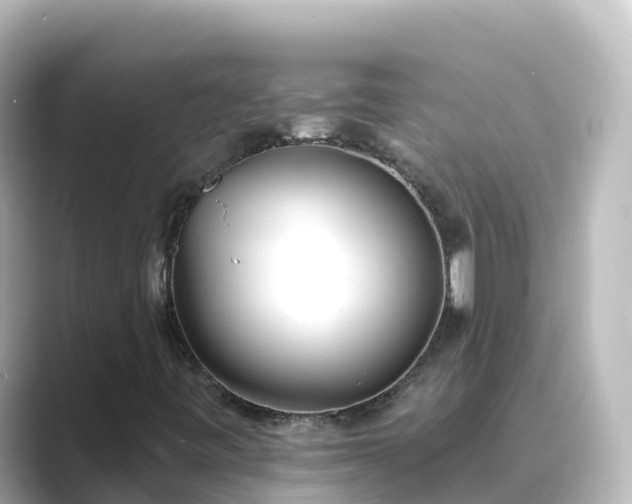 X0000089421443200706221145