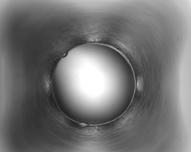 X0000089421444200706221145