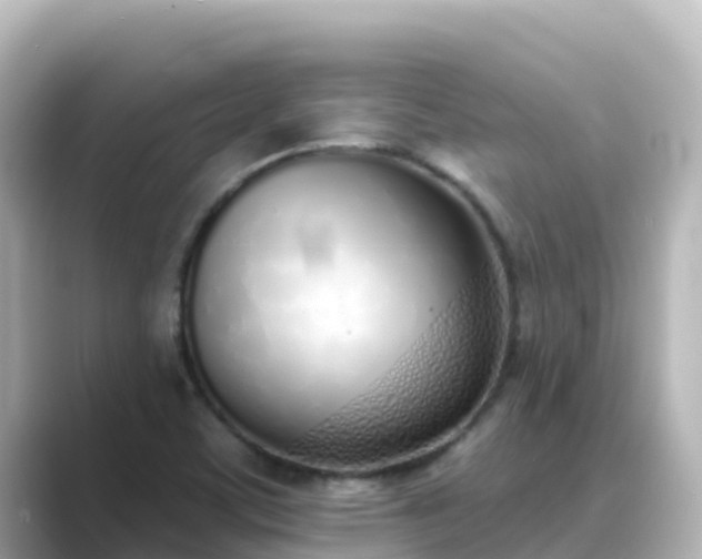 X0000089421459200706221144