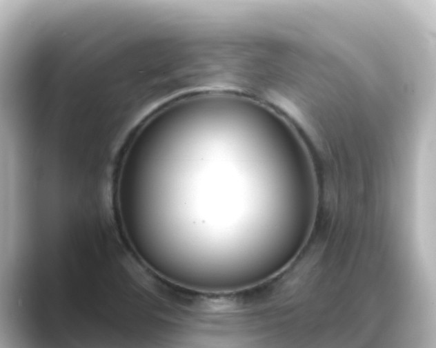 X0000089421460200706221144