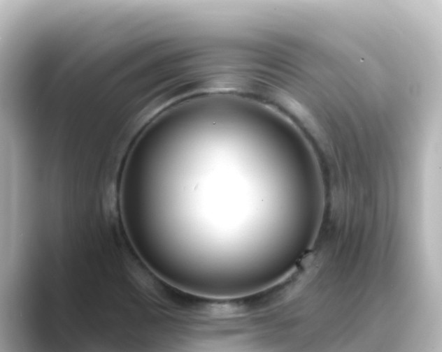X0000089421465200706221144