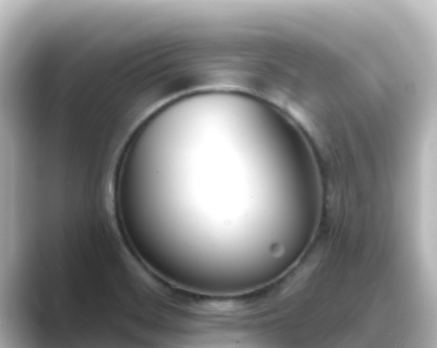 X0000089421468200706221144
