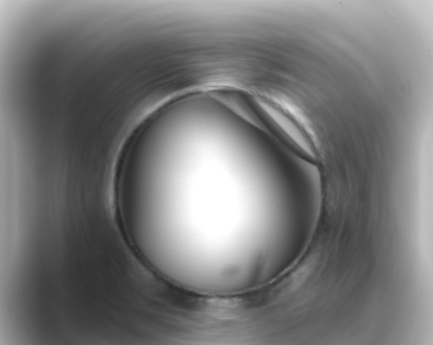X0000089421469200706221144