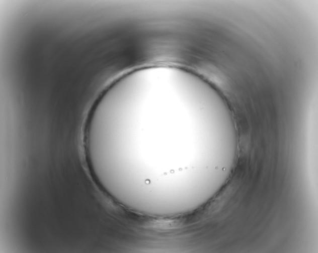 X0000089421470200706221144