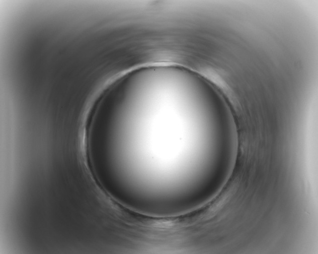 X0000089421472200706221144