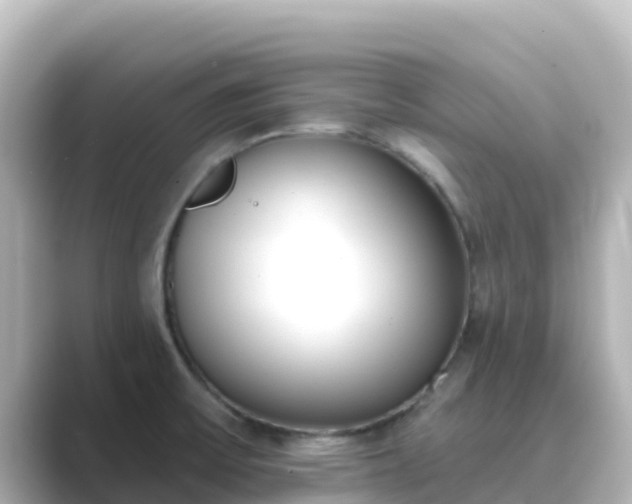 X0000089421475200706221144