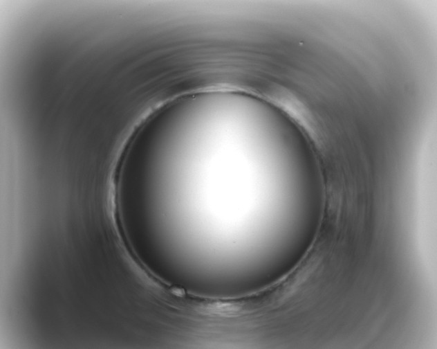 X0000089421476200706221144