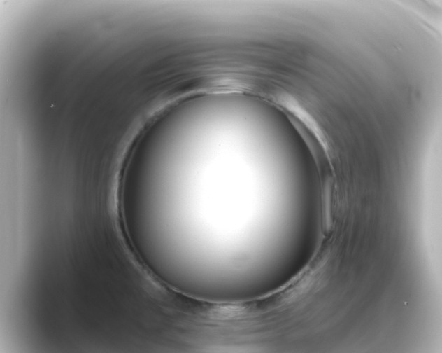 X0000089421477200706221144