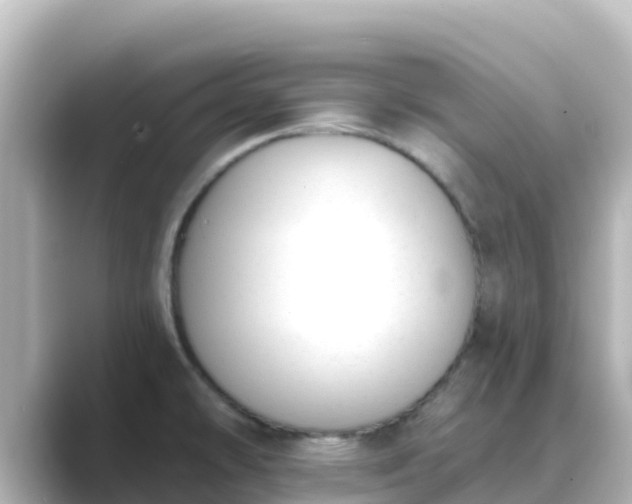 X0000089421478200706221144
