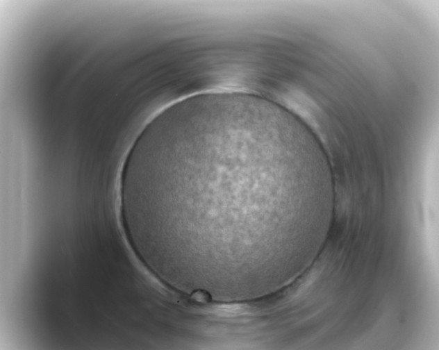 X0000089421479200706221144