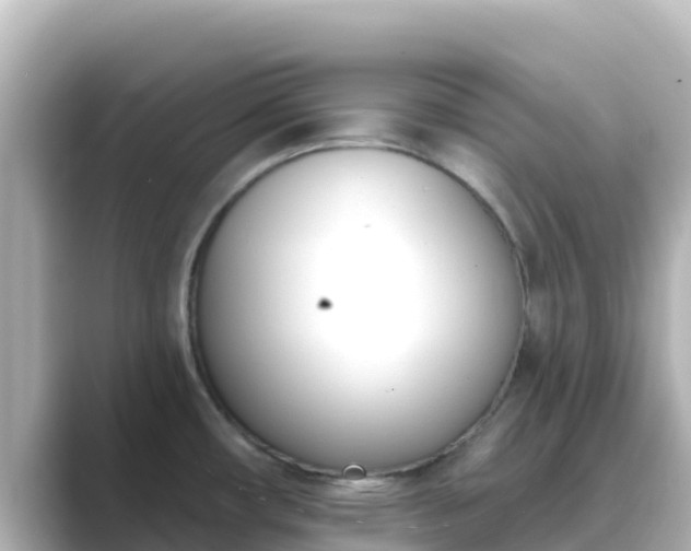 X0000089421482200706221144