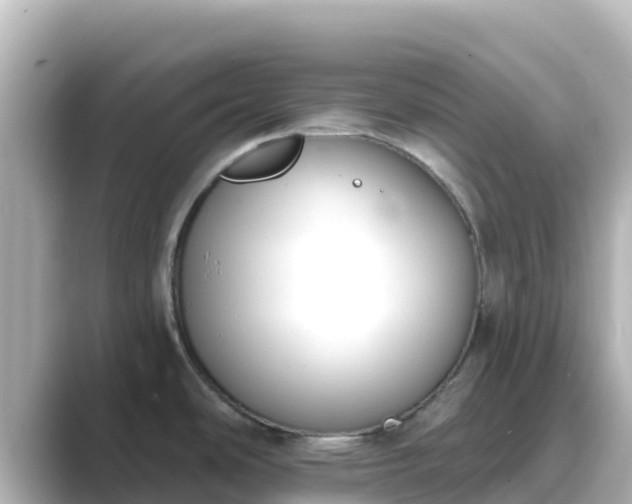 X0000089421486200706221144