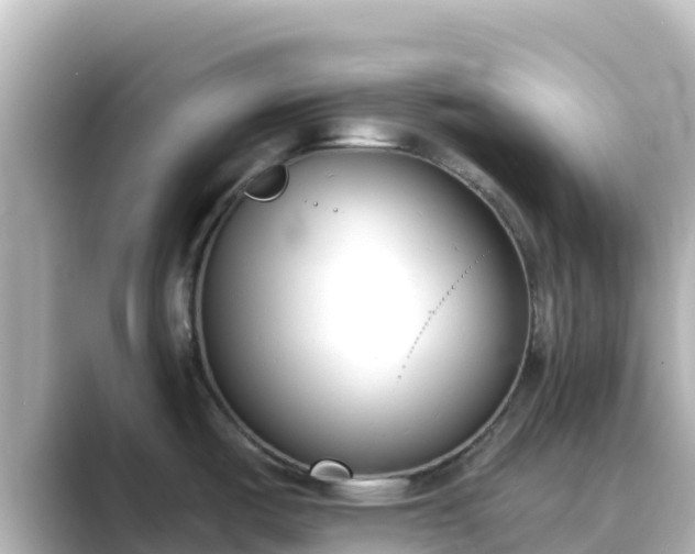 X0000089421487200706221144