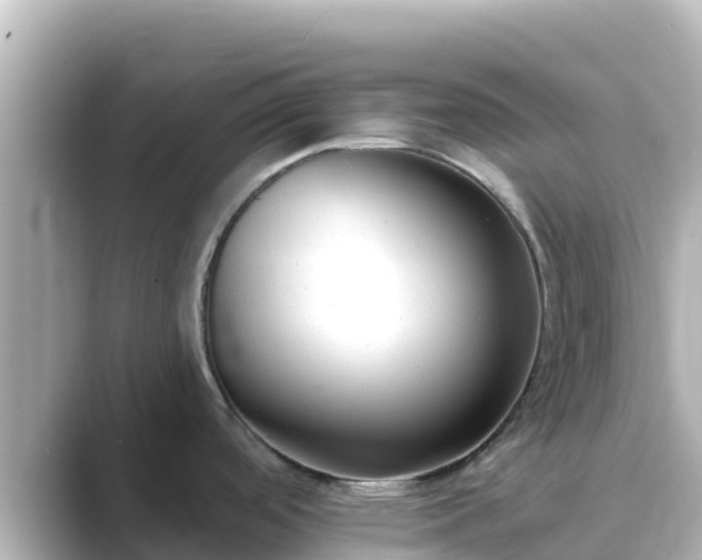 X0000089421488200706221144