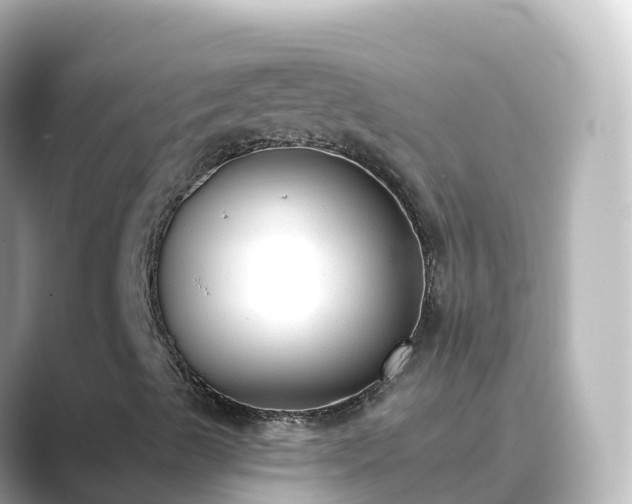 X0000089421489200706221144