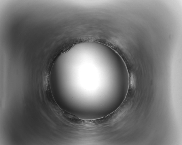 X0000089421492200706221144