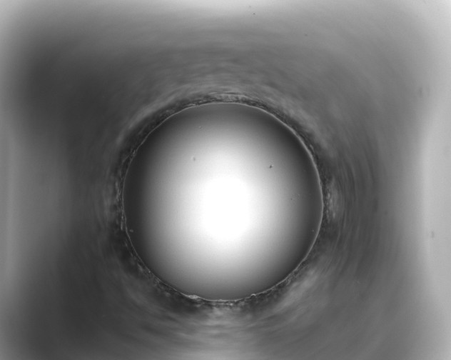 X0000089421494200706221144